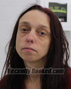 Recent Mugshot Image for JESSICA MARIE JOHNSON in Fayette County, Pennsylvania