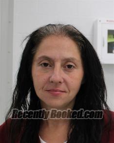 Recent Mugshot Image for MEGAN LYNN TROMBETTA in Fayette County, Pennsylvania