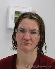 Recent Mugshot Image for STACEY N MCFADDEN in Fayette County, Pennsylvania