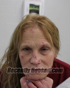 Recent Mugshot Image for ALEXIS DANA FITZHERBERT in Fayette County, Pennsylvania