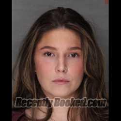 Recent Mugshot Image for RILEY P. HIMMELBERGER in Lebanon County, Pennsylvania