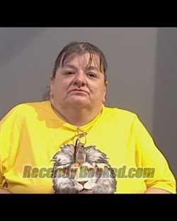 Recent Mugshot Image for SANDRA GILL SUMMERLIN in Calhoun County, Florida