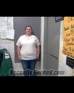 Recent Mugshot Image for KIMBERLY SHARON REWIS in Calhoun County, Florida