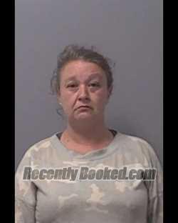 Recent Mugshot Image for BONNIE PILGRIM JOHNSTON in Calhoun County, Florida