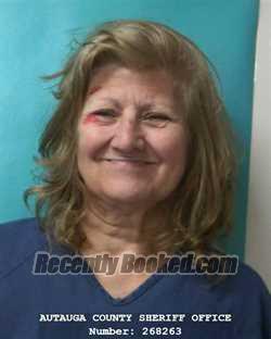 Recent Mugshot Image for JANETTE MARIE SALIN in Autauga County, Alabama