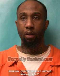 Recent Mugshot Image for TORI LADERRICK TUCKER in Autauga County, Alabama