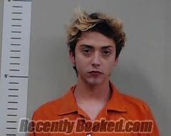 Recent Mugshot Image for RONALD MIMS in Chilton County, Alabama