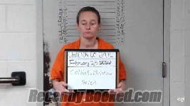 Recent Mugshot Image for CHRISTINA HELEN COLLINS in Chilton County, Alabama