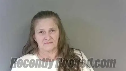 Recent Mugshot Image for Melody Tay Mcdaniel in Cleburne County, Alabama