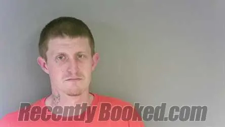 Recent Mugshot Image for Joshua Matthew Pinkard in Cleburne County, Alabama