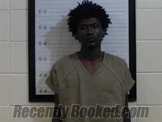Recent Mugshot Image for JORDAN NARRIAH JOHNSON in Coffee County, Alabama