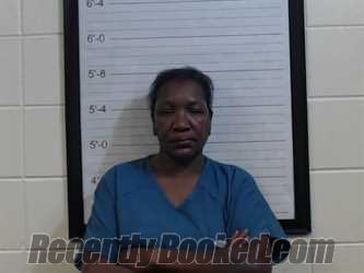 Recent Mugshot Image for ANNETTE GRIFFIN MCGEE in Coffee County, Alabama