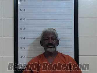 Recent Mugshot Image for STIMY LEE ENGRAM in Coffee County, Alabama