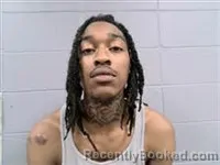 Recent Mugshot Image for ROBERT SANTRELL PETTY in Dale County, Alabama