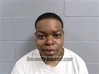 Recent Booking / Mugshot for BRIANA NICOLETTE DAVIS in Dale County, Alabama