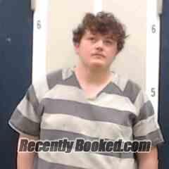 Recent Booking / Mugshot for Logan Vaughn in DeKalb County, Alabama
