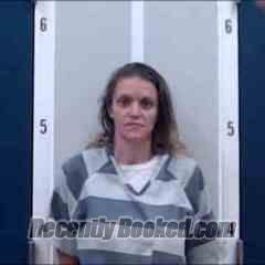Recent Mugshot Image for KISTA MARIE VINSON in DeKalb County, Alabama