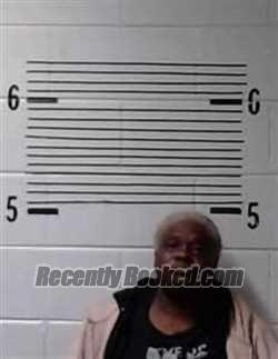 Recent Mugshot Image for S TILLMAN in Elmore County, Alabama