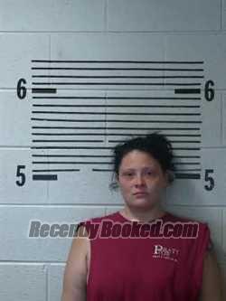Recent Mugshot Image for S BARRETT in Elmore County, Alabama