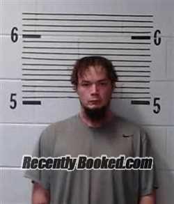 Recent Mugshot Image for C LEE in Elmore County, Alabama