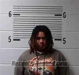 Recent Mugshot Image for K WILLIAMS in Elmore County, Alabama