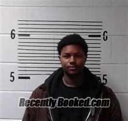 Recent Mugshot Image for D OUSLEY in Elmore County, Alabama