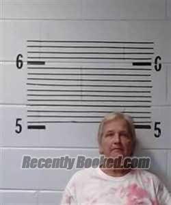 Recent Mugshot Image for S COBB in Elmore County, Alabama
