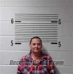 Recent Mugshot Image for E BURNETT in Elmore County, Alabama