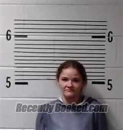 Recent Mugshot Image for A HALL in Elmore County, Alabama