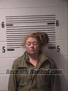Recent Mugshot Image for LISA GENDRON in Elmore County, Alabama