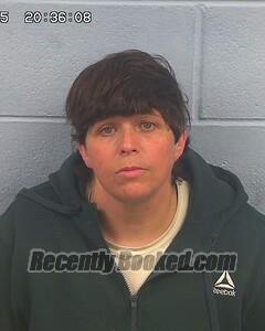 Recent Mugshot Image for ASHLEY JACOBS in Etowah County, Alabama