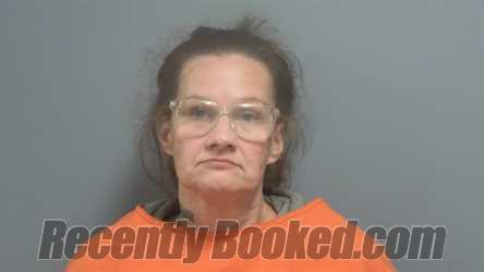 Recent Mugshot Image for LISA MARIE MOZINGO in Fayette County, Alabama