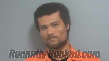 Recent Mugshot Image for PAUL MATTHEW PICHON in Fayette County, Alabama