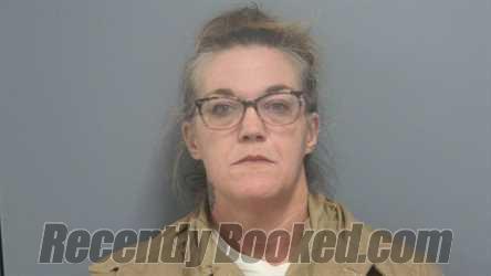 Recent Mugshot Image for STEPHANIE LYNN TUCKER in Fayette County, Alabama