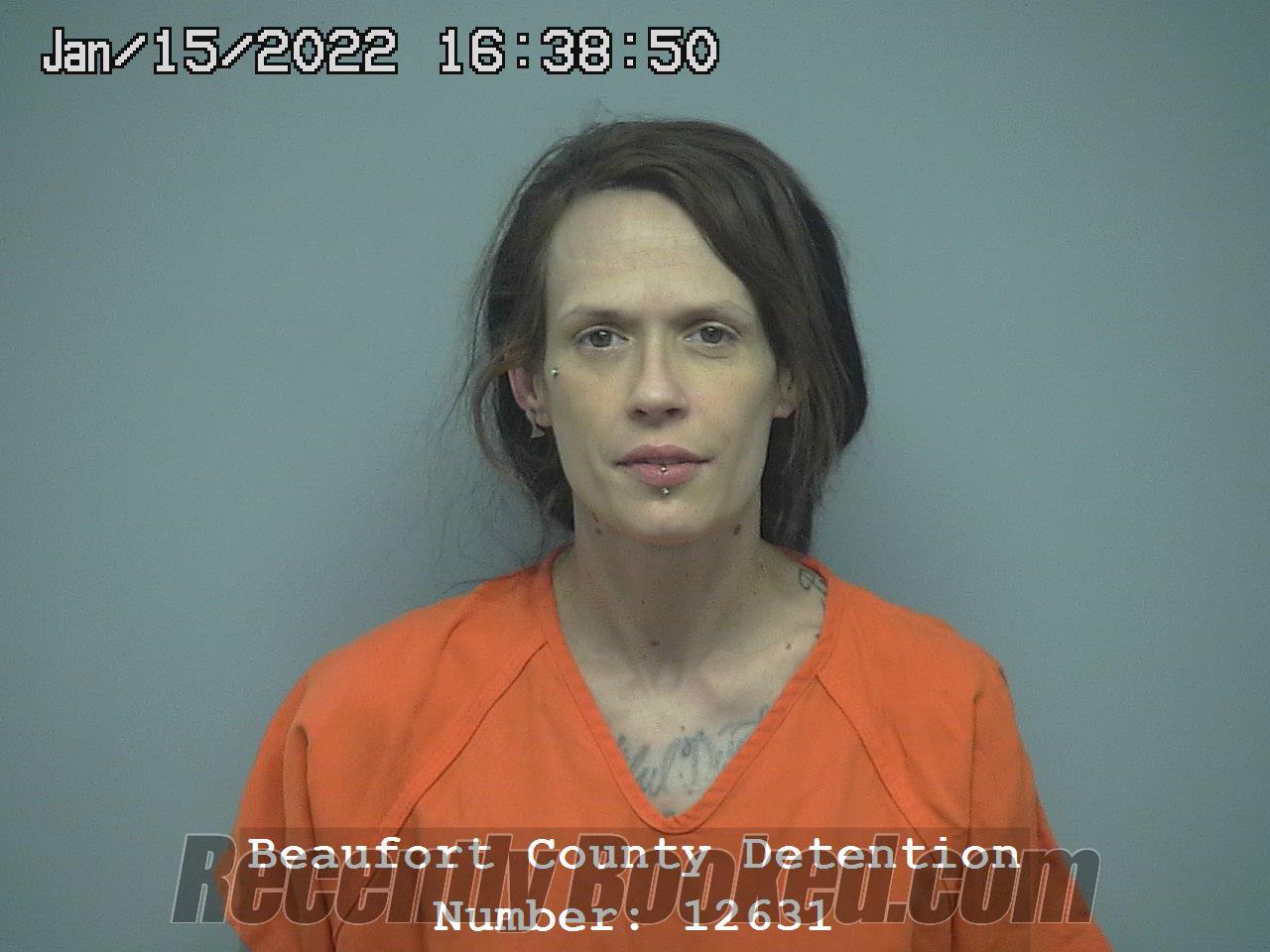 Recent Mugshot Image for VALERIE ANN SNIPES in Beaufort County, South Carolina