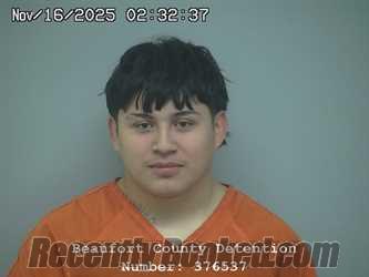 Recent Mugshot Image for HECTOR ALEXIS HUERTA HERNANDEZ in Beaufort County, South Carolina