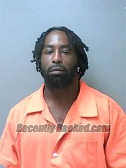 Recent Mugshot Image for JOEL PAUL BROWN in Hale County, Alabama