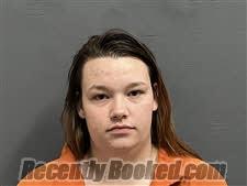 Recent Mugshot Image for Crystal Lynn Hobbs in Houston County, Alabama