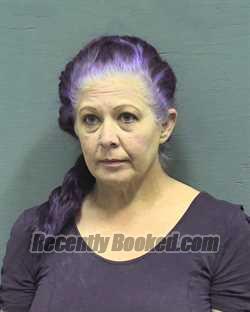Recent Mugshot Image for ANGELA RAINWATER HEAD in Houston County, Alabama