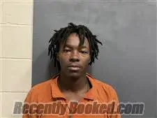 Recent Mugshot Image for Miles Jacobi Snell in Houston County, Alabama
