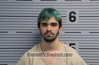 Recent Mugshot Image for KADEN LINN in Jackson County, Alabama