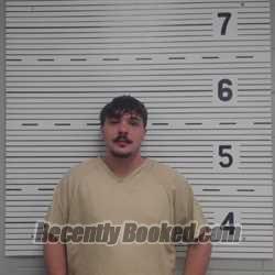 Recent Mugshot Image for PRESLEY CHANCE BRADFORD in Lawrence County, Alabama