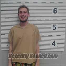 Recent Mugshot Image for ASH DAKOTA LABRANEY in Lawrence County, Alabama