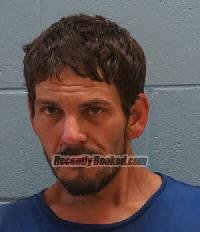 Recent Mugshot Image for JOSHUA LEE ANDERSON in Lee County, Alabama