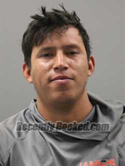 Recent Mugshot Image for ELY CANTARERO BENAVIDEZ in Limestone County, Alabama