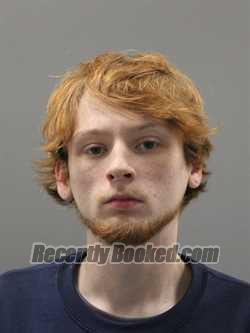 Recent Mugshot Image for PRESTON GAUGE RENO in Limestone County, Alabama