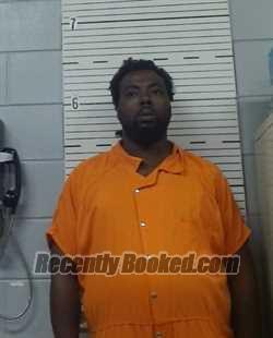 Recent Mugshot Image for DAVID STOUDEMIRE in Lowndes County, Alabama