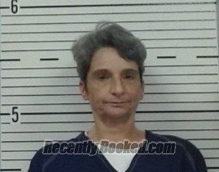 Recent Mugshot Image for TAMMY JOHNSON in Lowndes County, Alabama