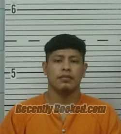 Recent Mugshot Image for OSEAS MEJIA MORALES in Lowndes County, Alabama