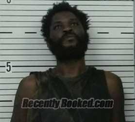 Recent Mugshot Image for TIMOTHY MITCHELL in Lowndes County, Alabama